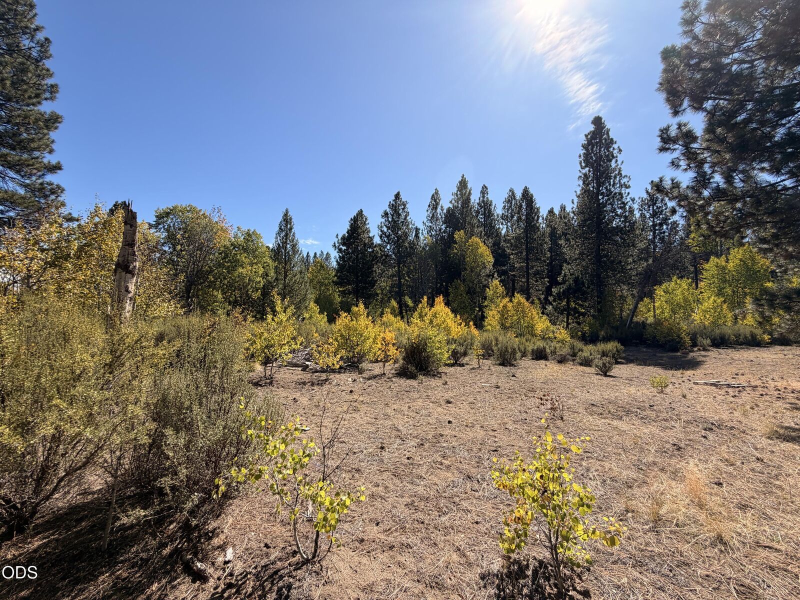Property Photo:  0 Highway 97 188950  OR 97624 