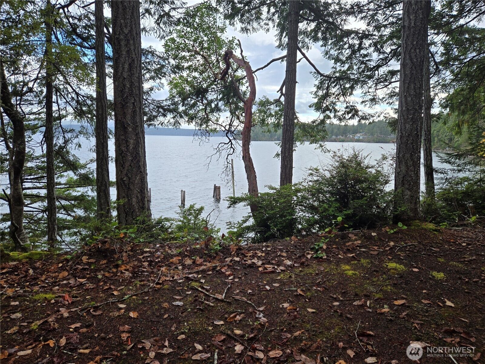 Property Photo:  91  Pleasant Harbor Road  WA 98320 