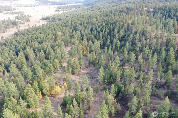 Property Photo:  9  Marmot Alley Road  WA 98855 