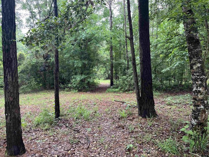 Property Photo:  2994 Custer Lane  TX 77656 