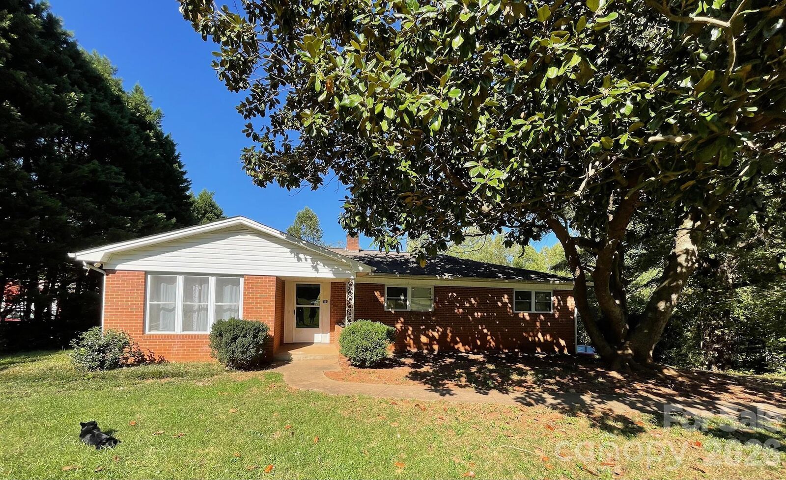 Property Photo:  110 Poteat Drive  NC 28655 