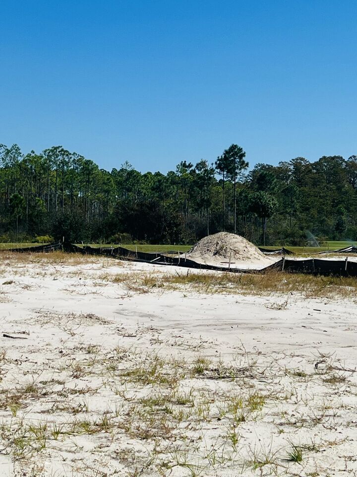 Property Photo: Lot 155 N Southern Cross Lane FL 32461