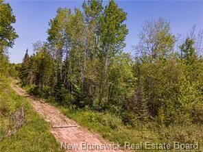 Property Photo:  Lot Creek Road  NB E5P 3C6 