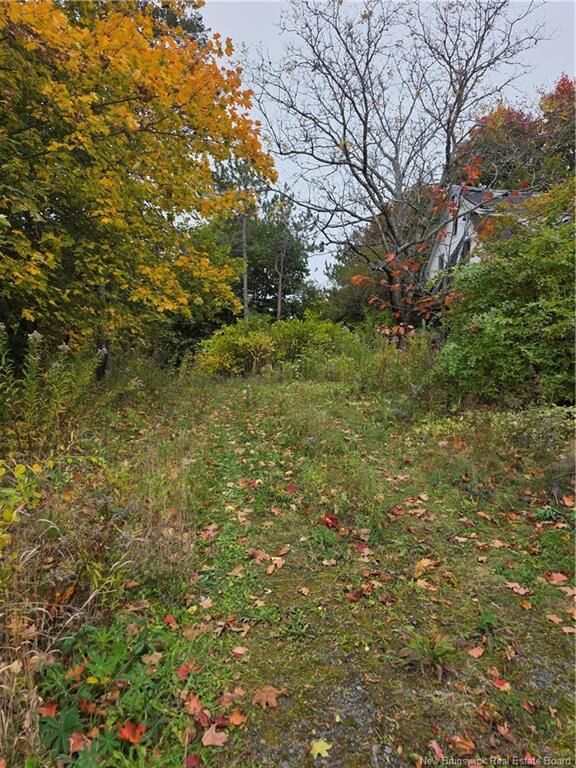 Photo de la propriété:  19 Carlisle Road  NB E3A 7M3 
