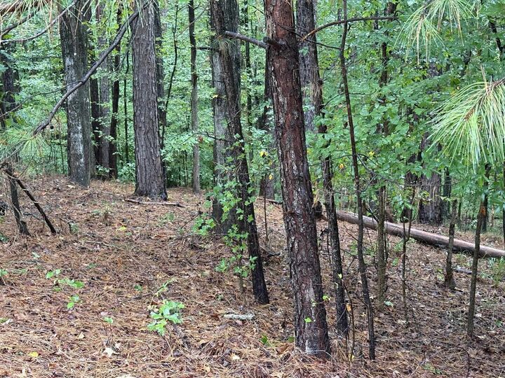 Property Photo:  1011 Callahans Ridge Road  GA 30642-1999 