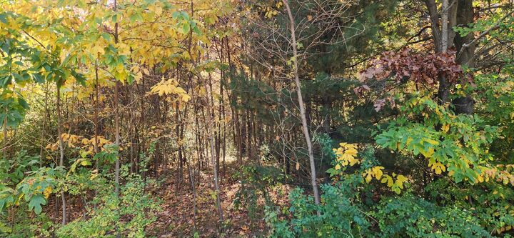 Property Photo: 0 E Riley-Thompson Road MI 49445