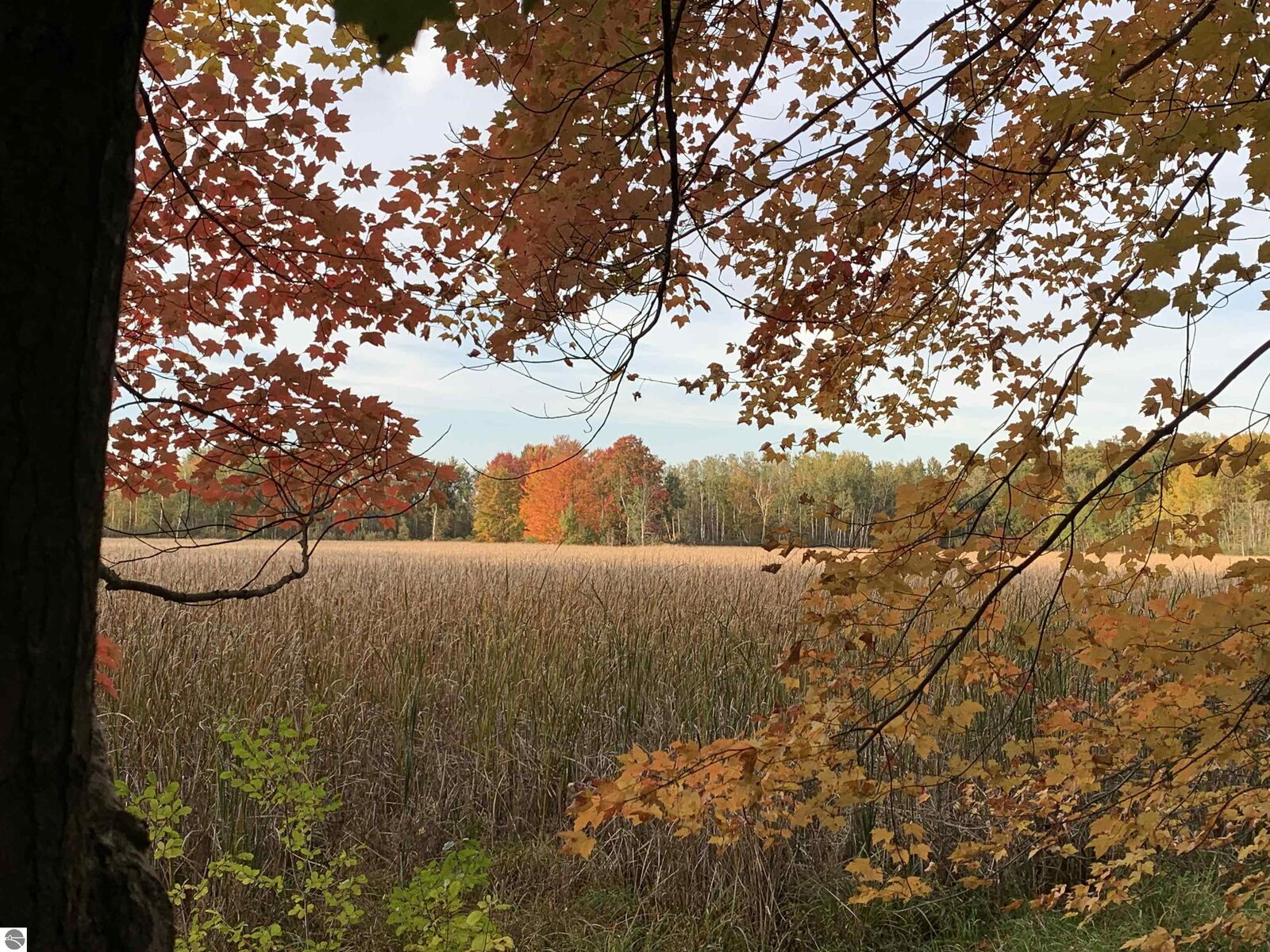 Property Photo: Vl W Hovey Road MI 48623