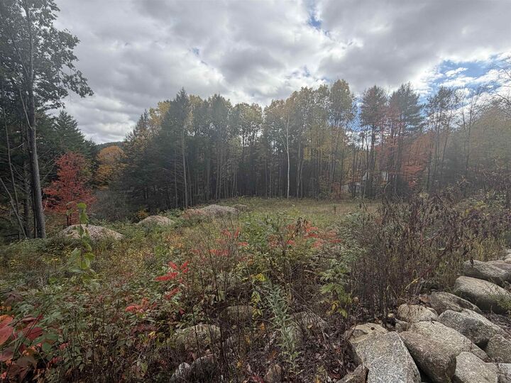 Property Photo: Old Swanzey Road NH 03470