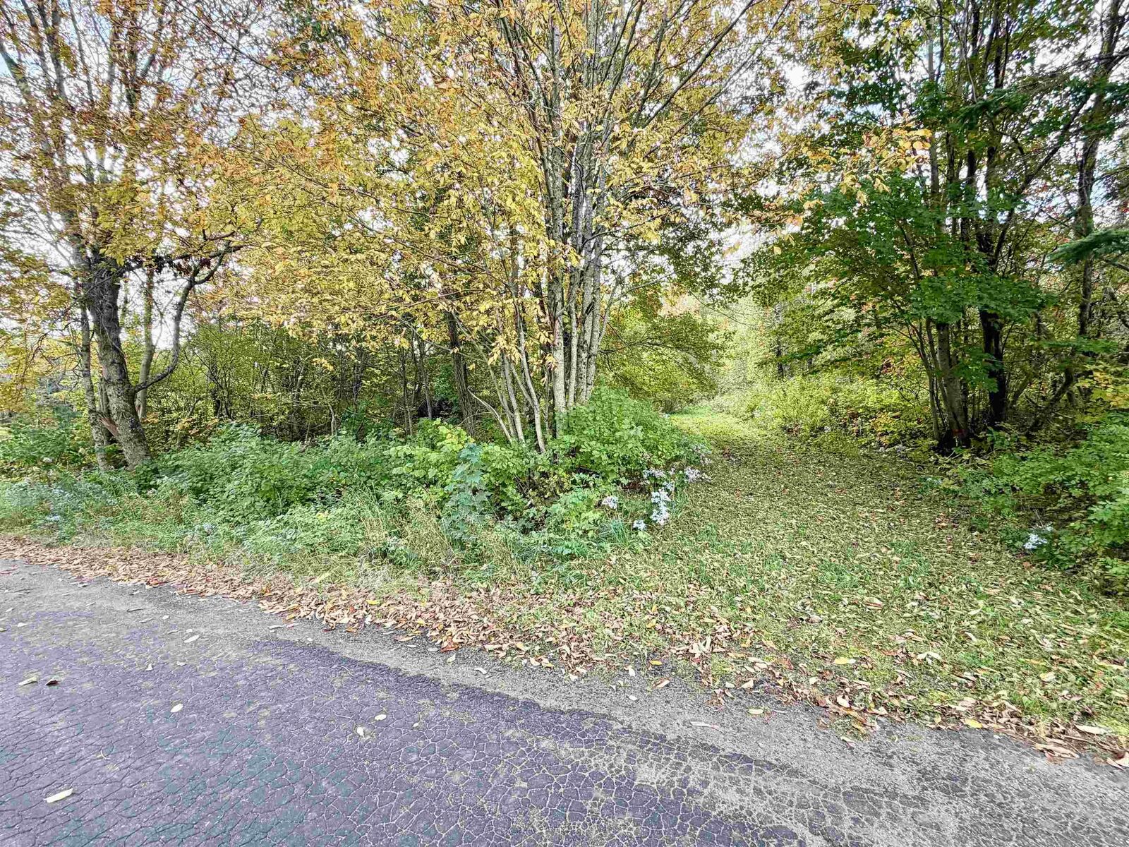 Property Photo:  272 Welch Road  NS B4P 2R1 