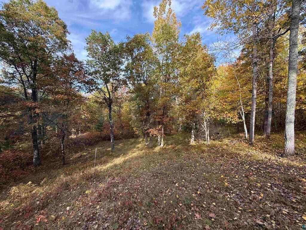 Property Photo:  51190 Loon Echo Lane  WI 54873 