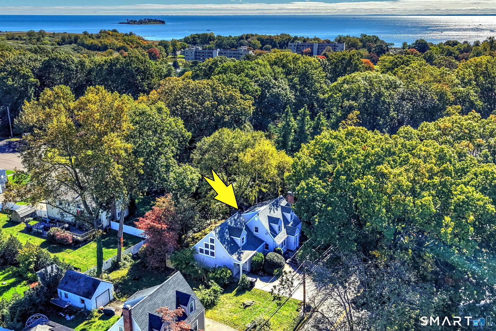 Property Photo:  197 Maplewood Avenue  CT 06460 