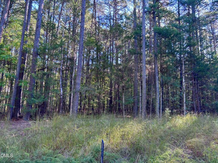 Property Photo: 0 Pool Rock Plantation Lane NC 27537
