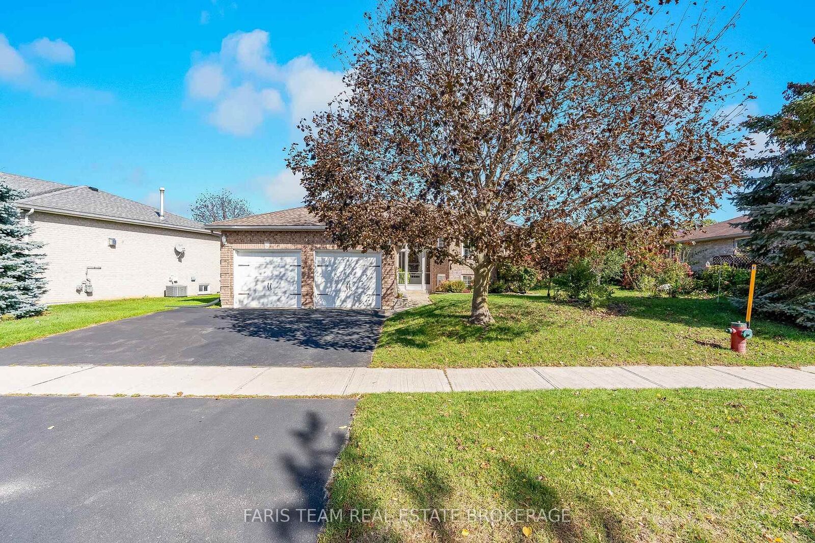 Property Photo:  59 Carter Crescent  ON L3V 7S2 