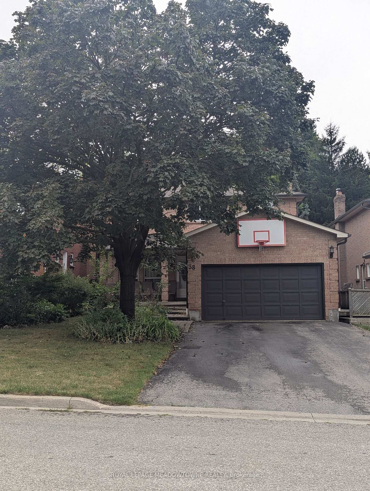 Property Photo:  38 Bambi Trail  ON L7E 2G3 