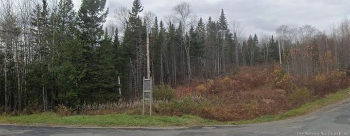 Property Photo:  Vacant Lot Mountain Brook  NB E8E 2P5 