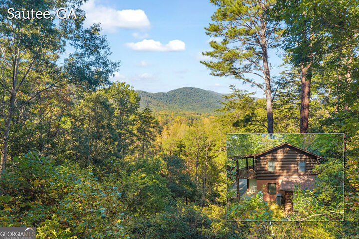 Property Photo:  266 Miners Mountain Road  GA 30571 