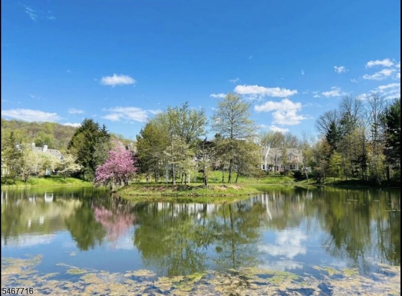 Property Photo:  1 Teal Ln  NJ 07921 