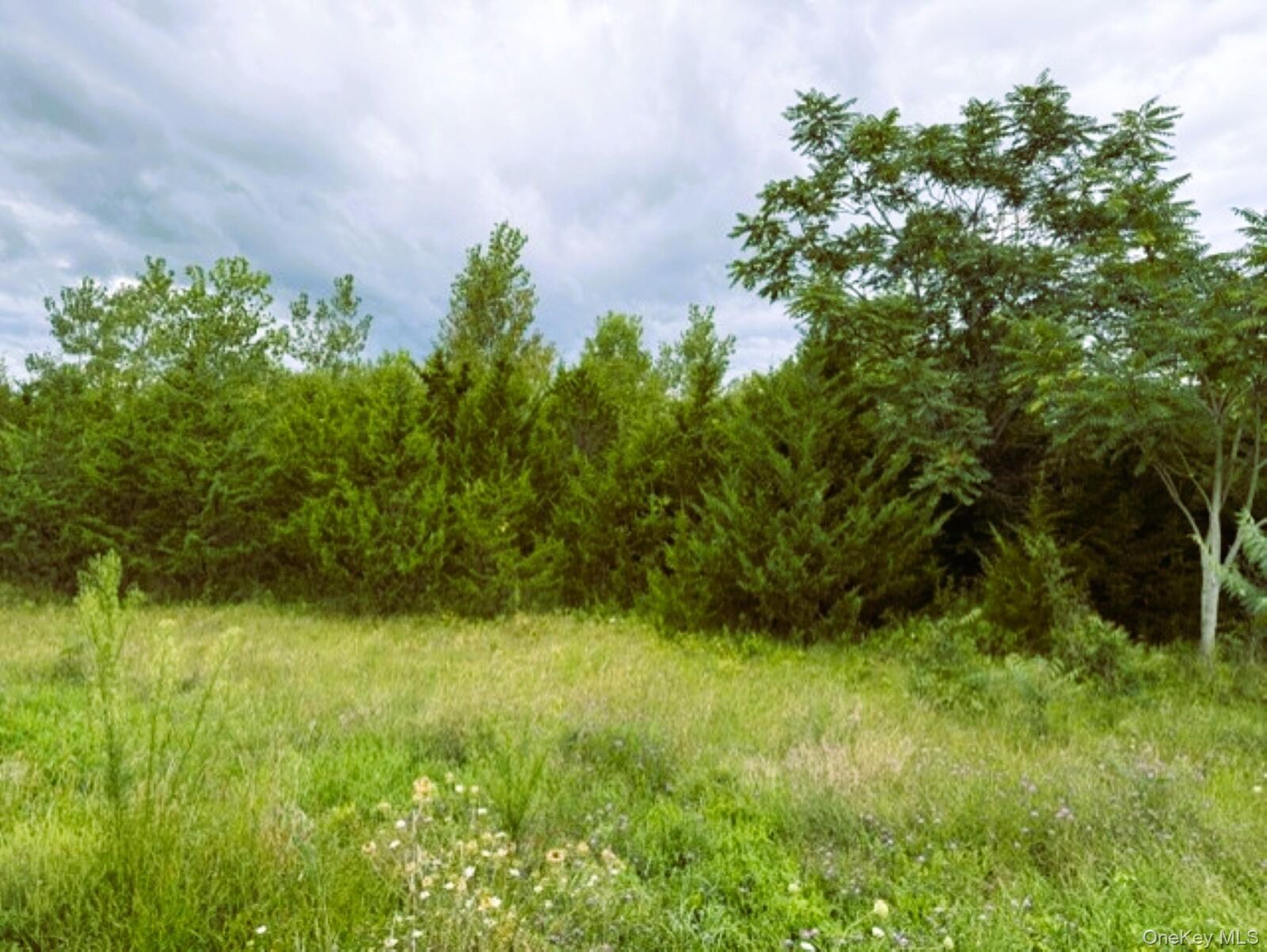 Property Photo:  US 9  NY 12541 