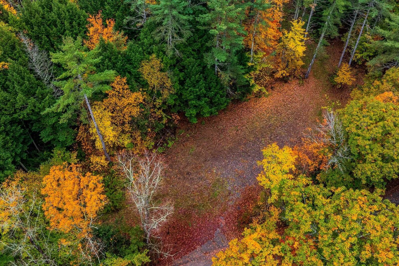 Property Photo:  0 Grimes Hill Road  NH 03777 