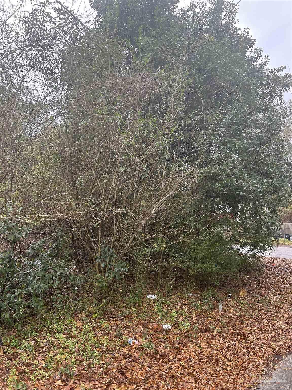 Property Photo: Lot 11, Blk 3 McConnell St AL 36426