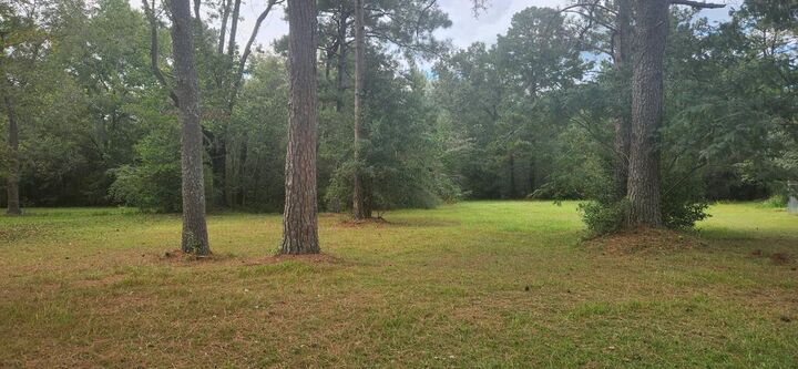 Property Photo:  317 E Spring 0 E Spring Street  AL 36303 