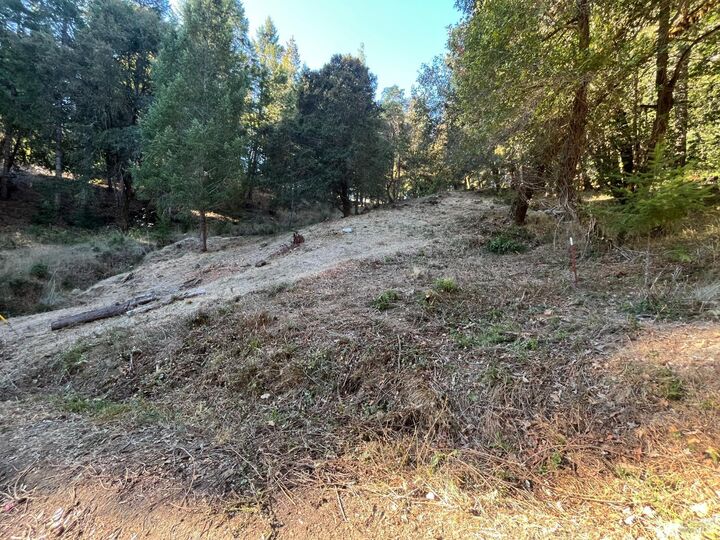 Property Photo: 24573 Cypress Drive CA 95490