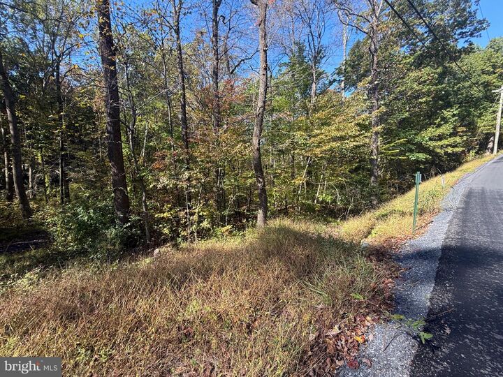 Property Photo: Lots 207-211 Venus Branch Road VA 22630