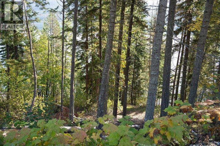 Property Photo:  160 Needles North Road  BC V0G 1K0 
