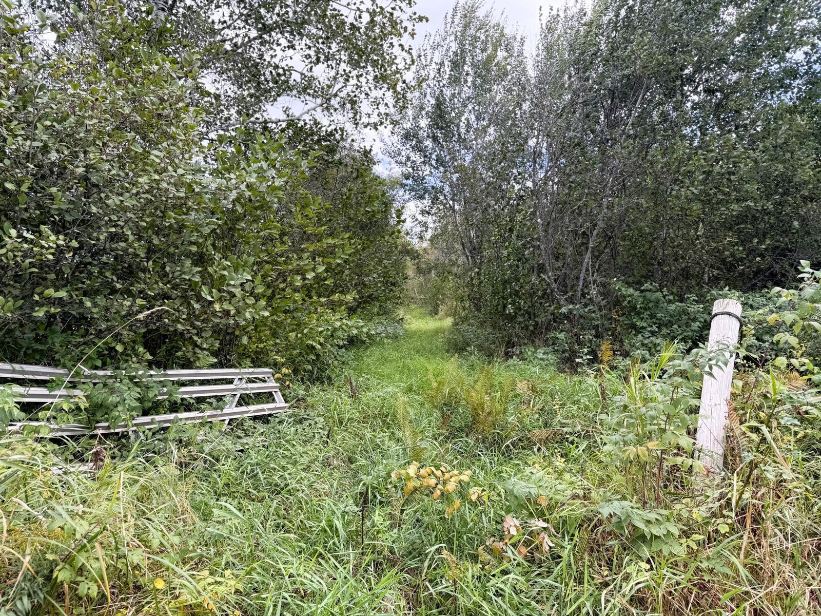 Property Photo:  Tbd Easement Trail  MN 55707 