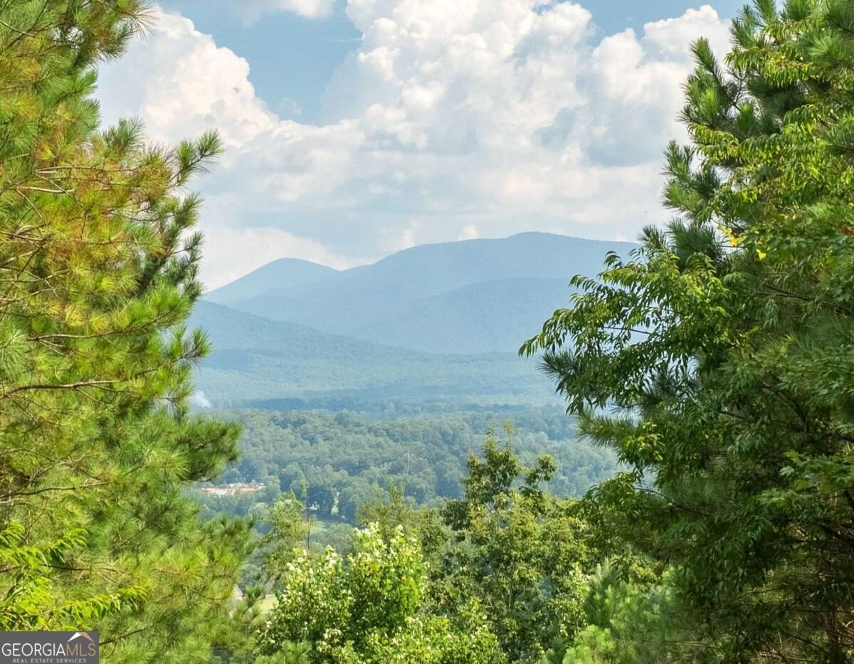 Property Photo: Lot 29 Sunset View GA 30512