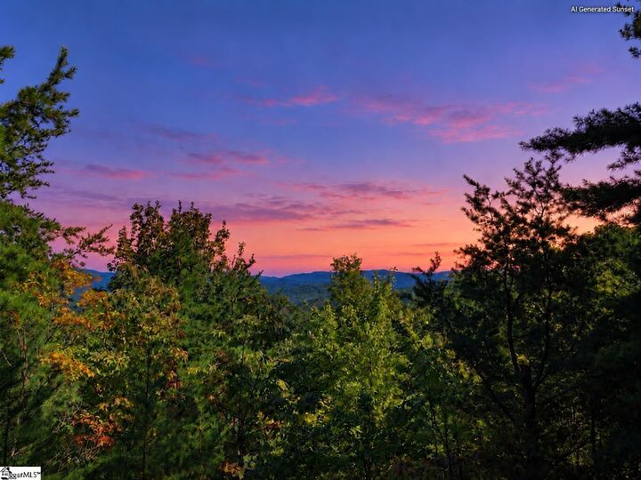 Property Photo: 217 Buttercup Way SC 29685