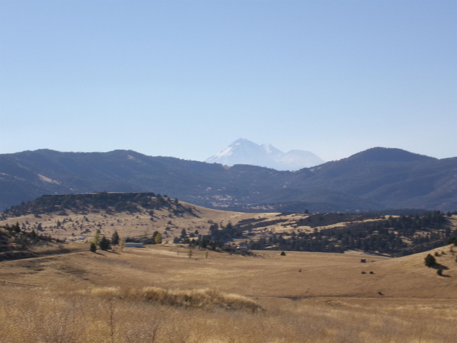 Property Photo:  10015 Buck Lane  CA 96044-0000 