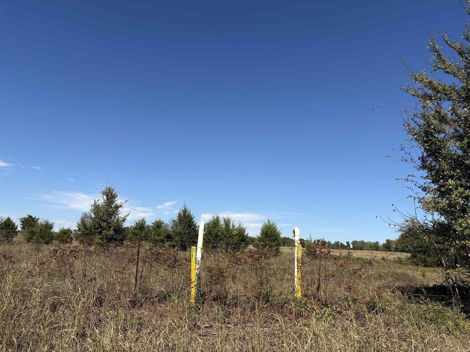 Property Photo: 340 Hwy 124 W. AR 72058