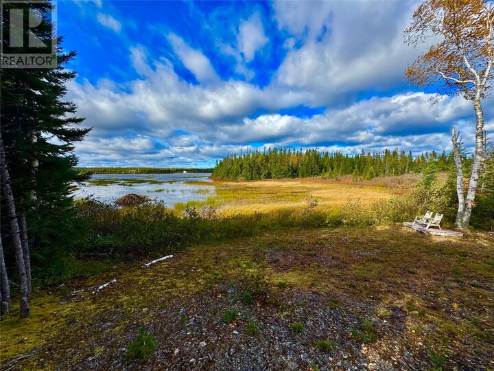 Property Photo:  0 Joe Batts Pond Road  NL A1V 0B8 