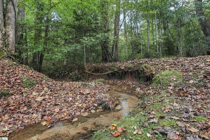 Property Photo:  1318 Earls Bridge Road  SC 29640 