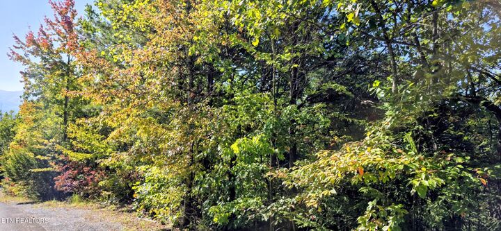 Property Photo:  Lot 90 Mountain Blvd  TN 37876 