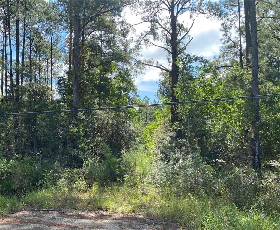 Property Photo:  