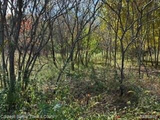 Property Photo: Vl Cedar Road MI 48836