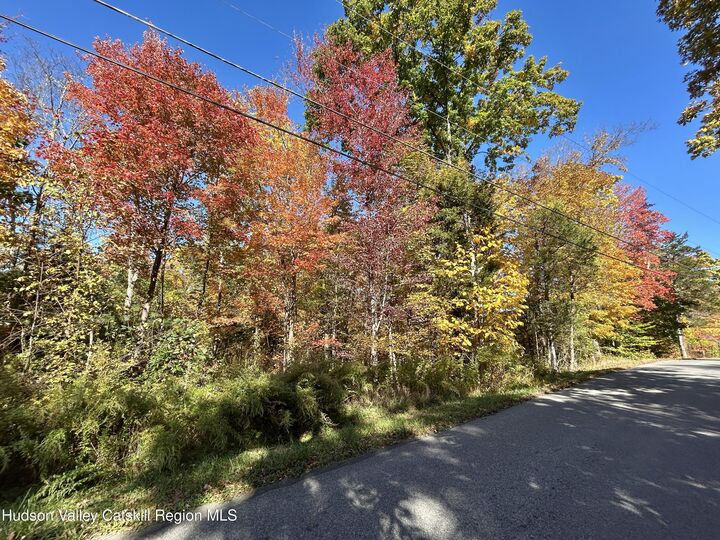 Property Photo:  Tbd Berme  NY 12446 