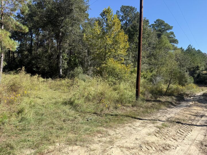 Property Photo: 911 Bears Rd LA 70634