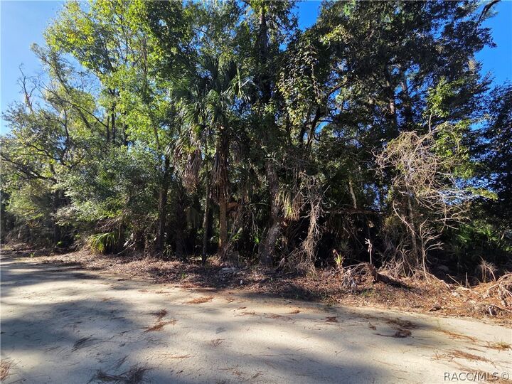 Property Photo:  0 SE Hwy 19  FL 34449 
