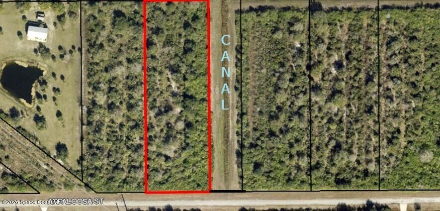 Property Photo:  314 Appaloosa Street  FL 32909 
