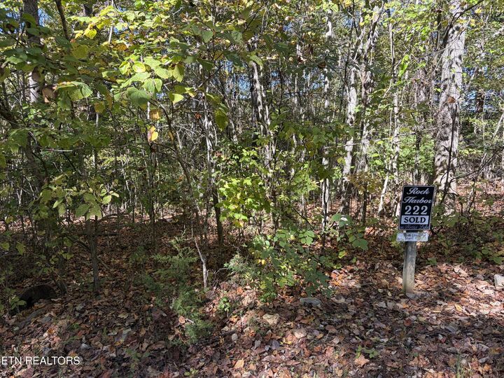 Property Photo: Lot 222 Jade Lane TN 37825