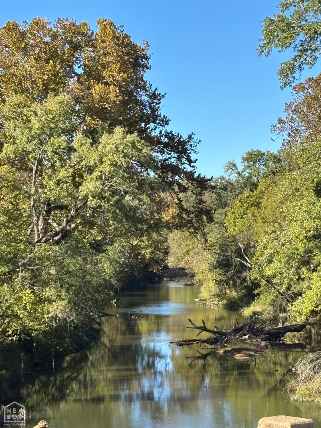 Property Photo:  115 Hwy  AR 72466 