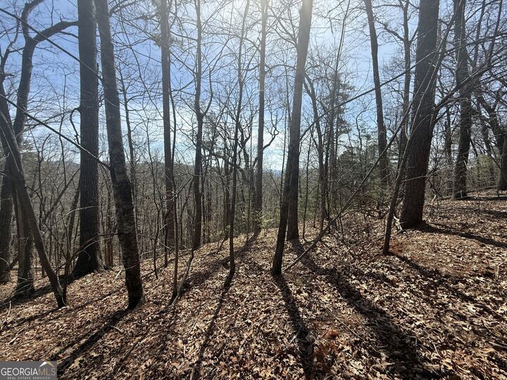 Property Photo:  Tract 3A Big View Lane  GA 30525 