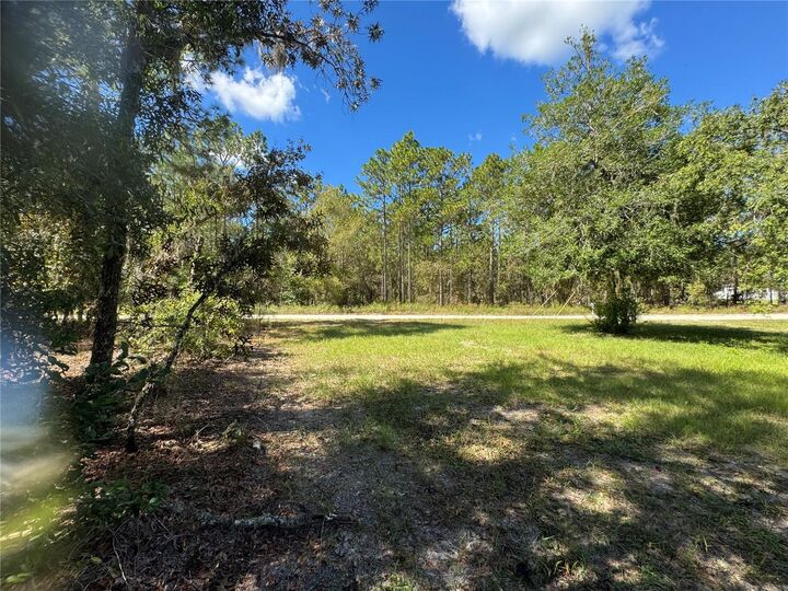 Property Photo: Lot 21 SW 157th Court FL 34481