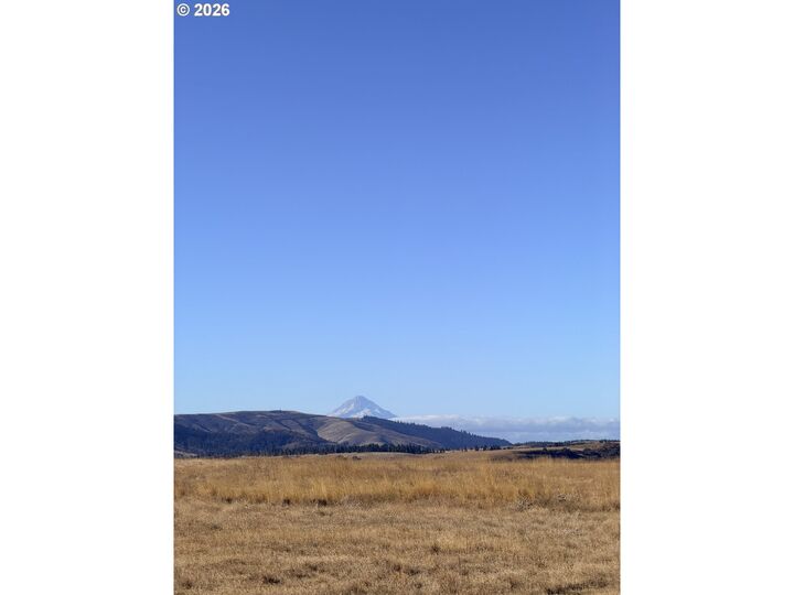 Property Photo:  0 Hwy 142  WA 98628 