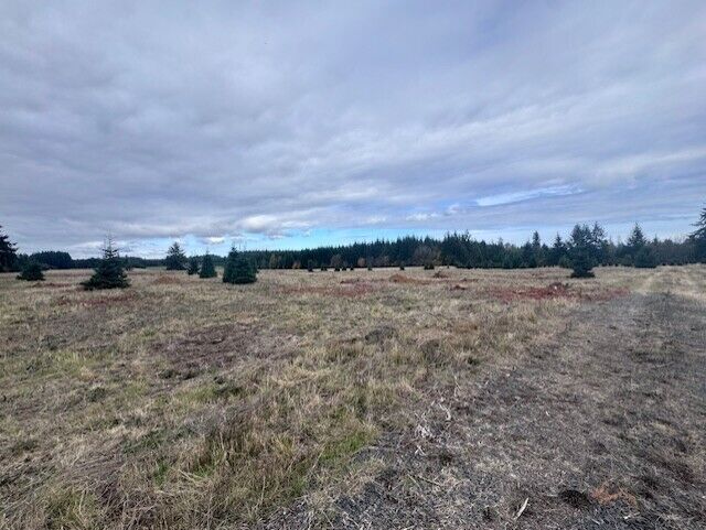 Property Photo:  0  Tennessee Road Lot 5  WA 98596 
