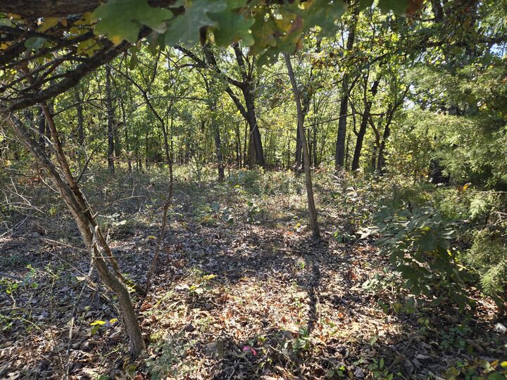 Property Photo:  19832 County Road 64  MO 65779 