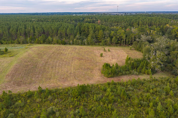 Property Photo:  21.31+/- County Road 663  AL 36318 